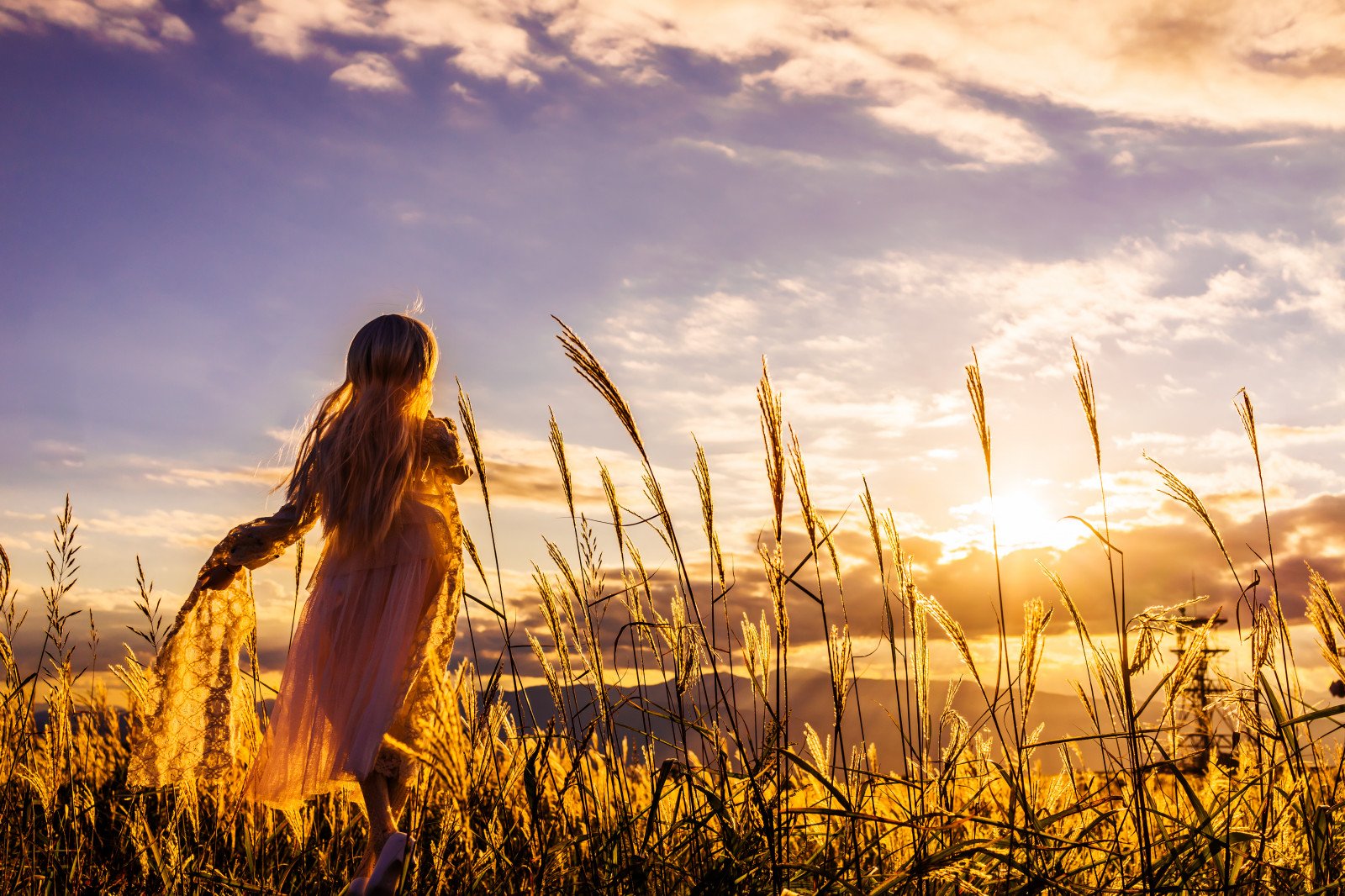 Ярче солнца когда выйдет. Девушка и солнце. Девушка в поле. Фотосессия в поле. Женщина в пшеничном поле.