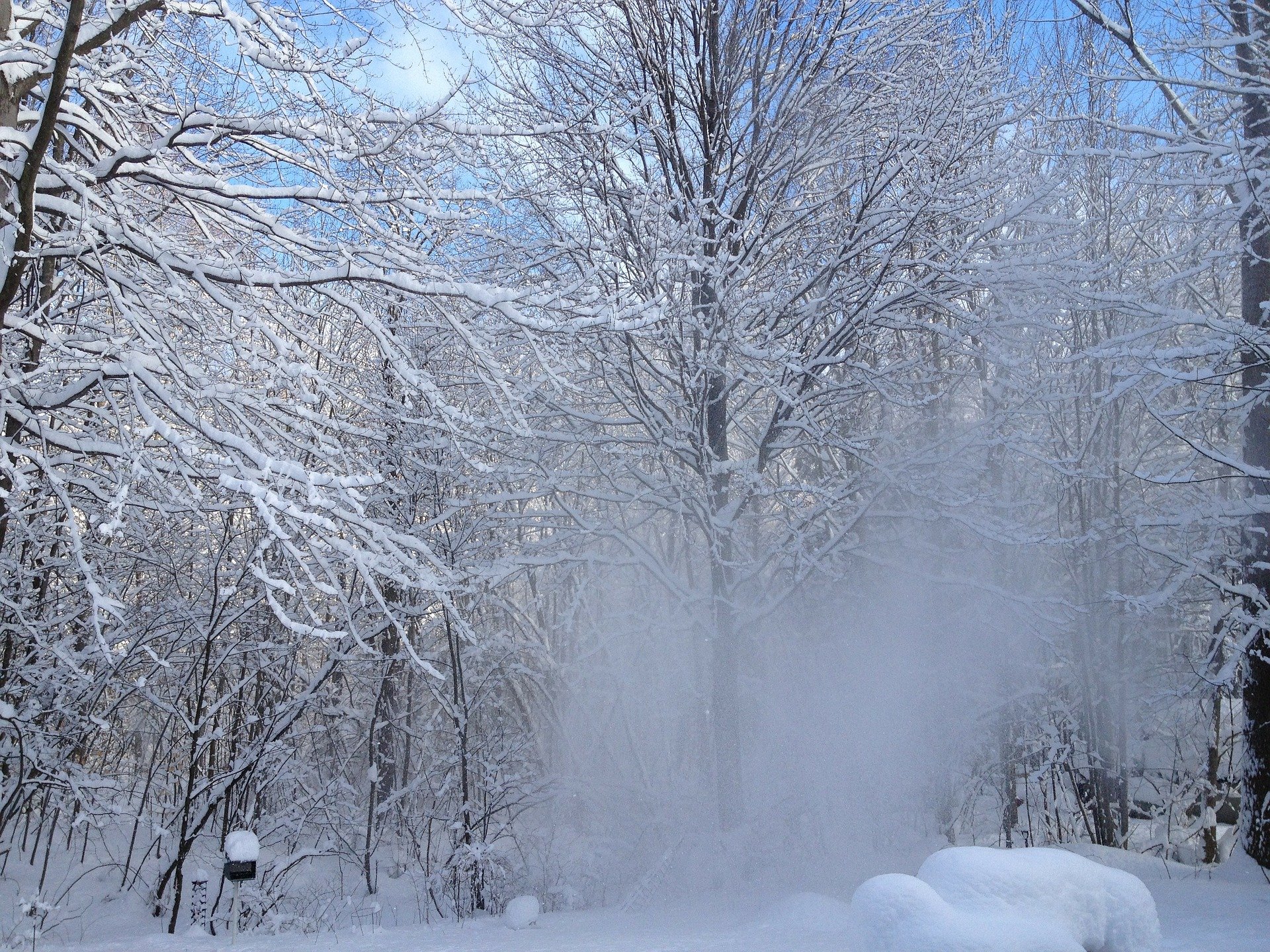 Ветров неживой. Снегопад это явление природы. Февраль природа. Метель. Февральская вьюга.