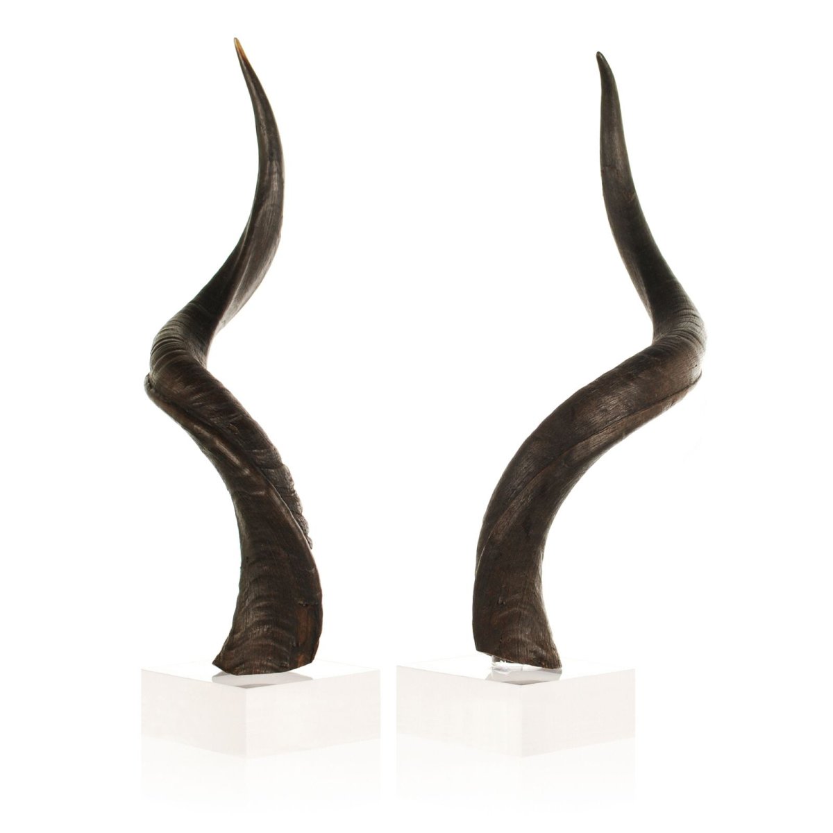 Олень с венком