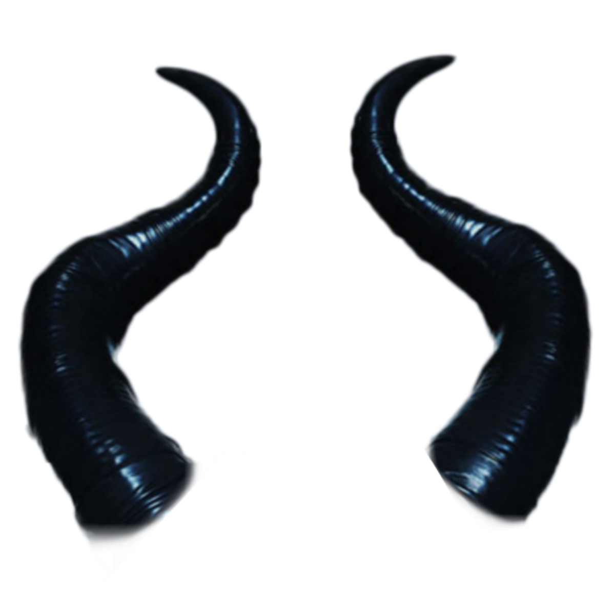 Рога благородного оленя сбоку