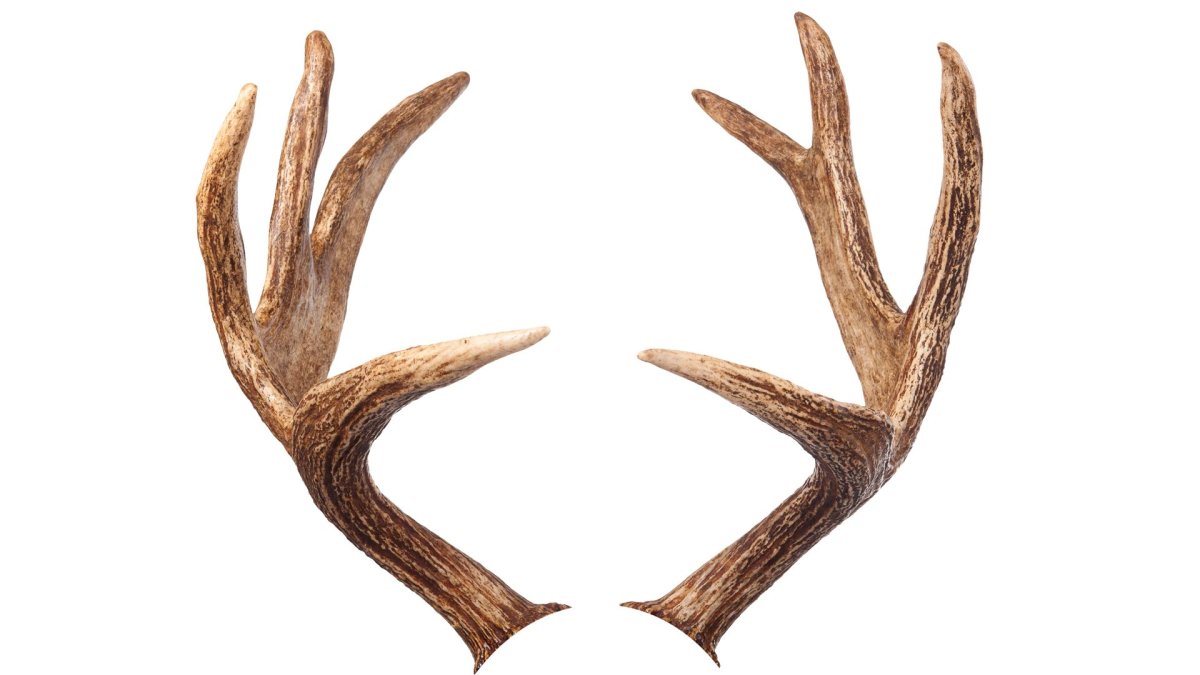 ASUS Republic of Gamers Strix