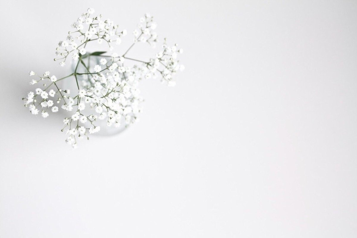 Красивый белый фон