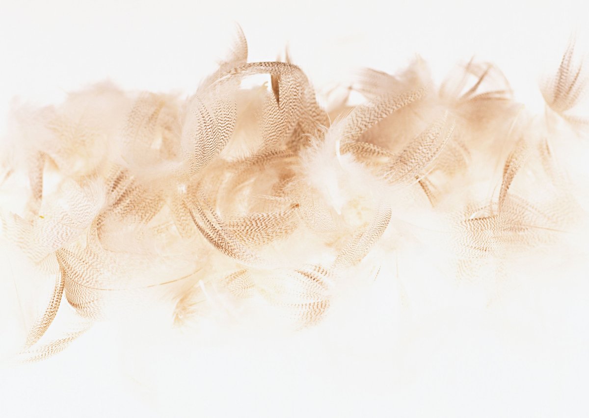 Бежевый фон Эстетика