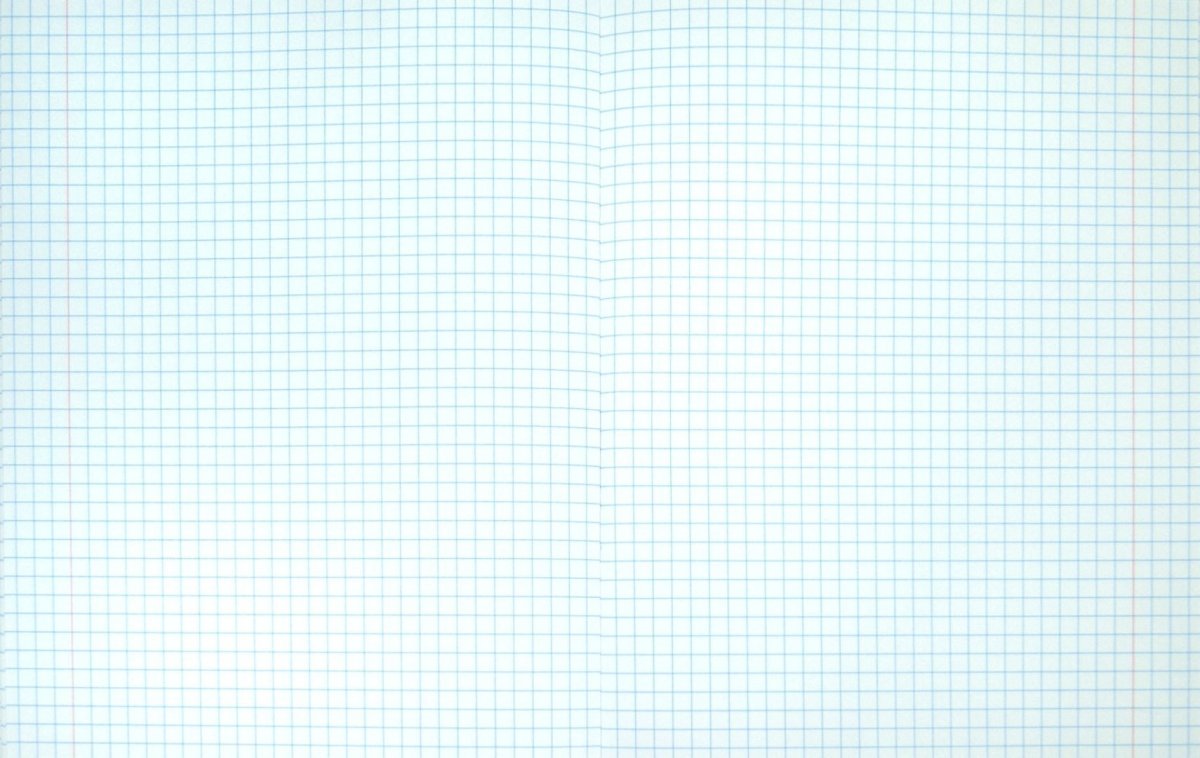 Страница тетради в клетку