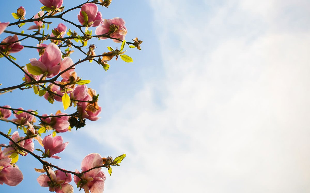 Режим работы в весенние праздники