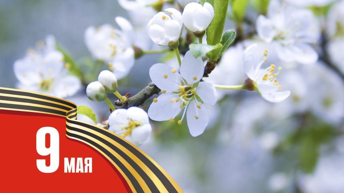 Весна Победы