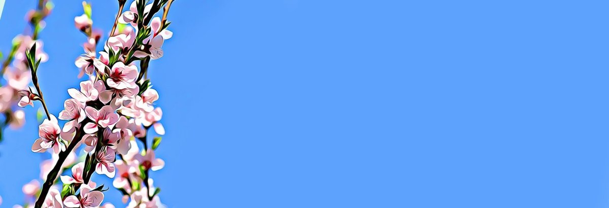 Весенний фон для баннера