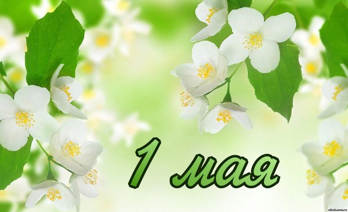 1 Мая праздник