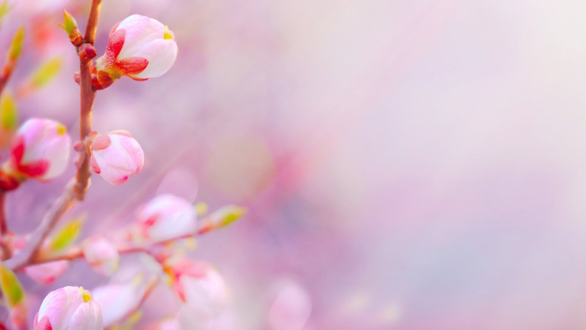 Весенний фон