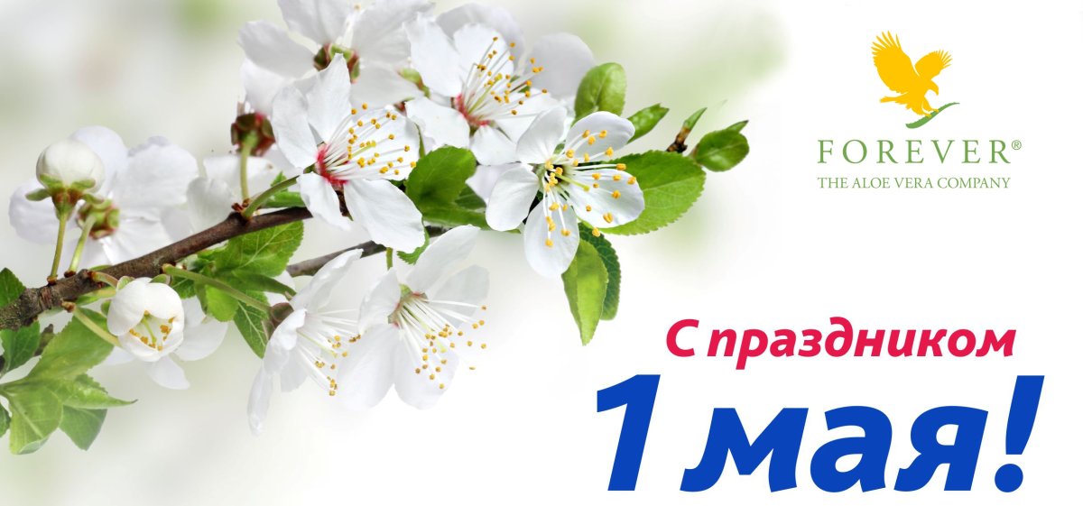 Майские праздники дизайн баннер