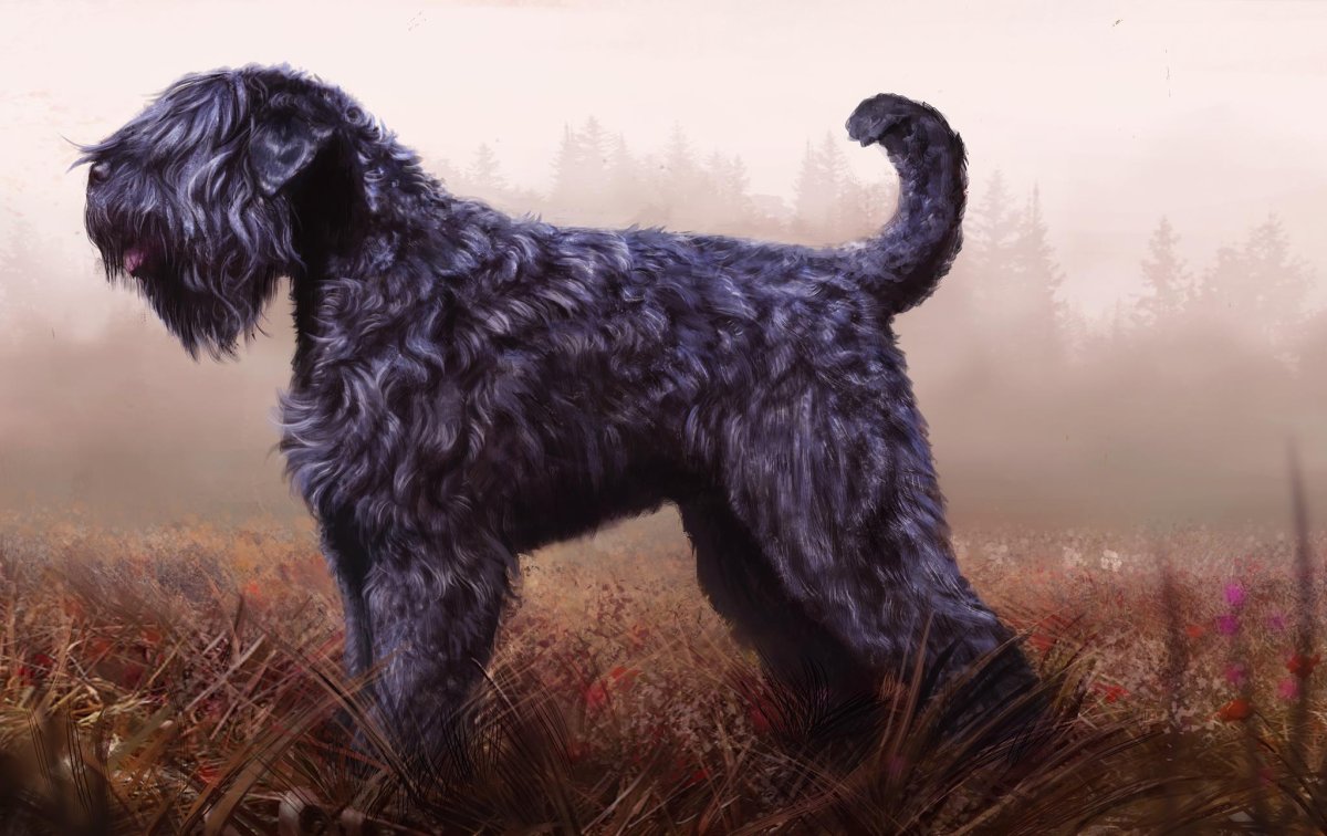 Собака электроника порода Эрдельтерьер