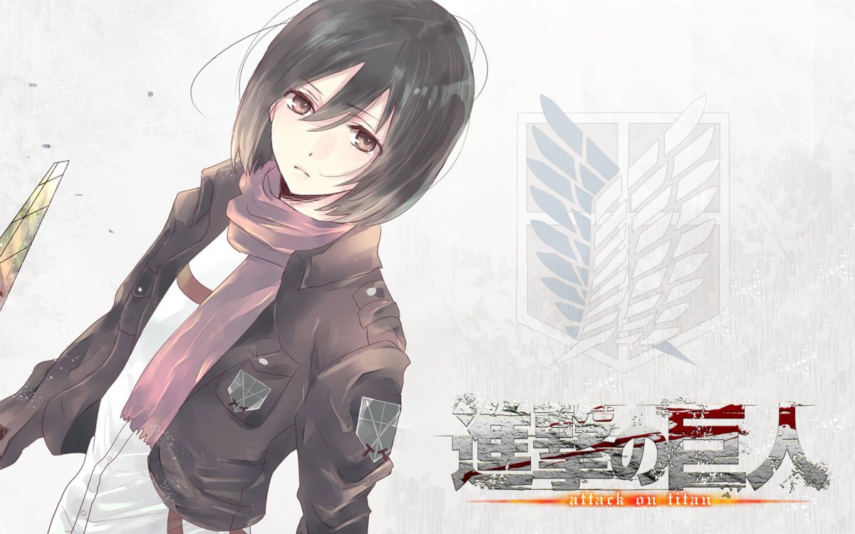 Атака титанов Микаса