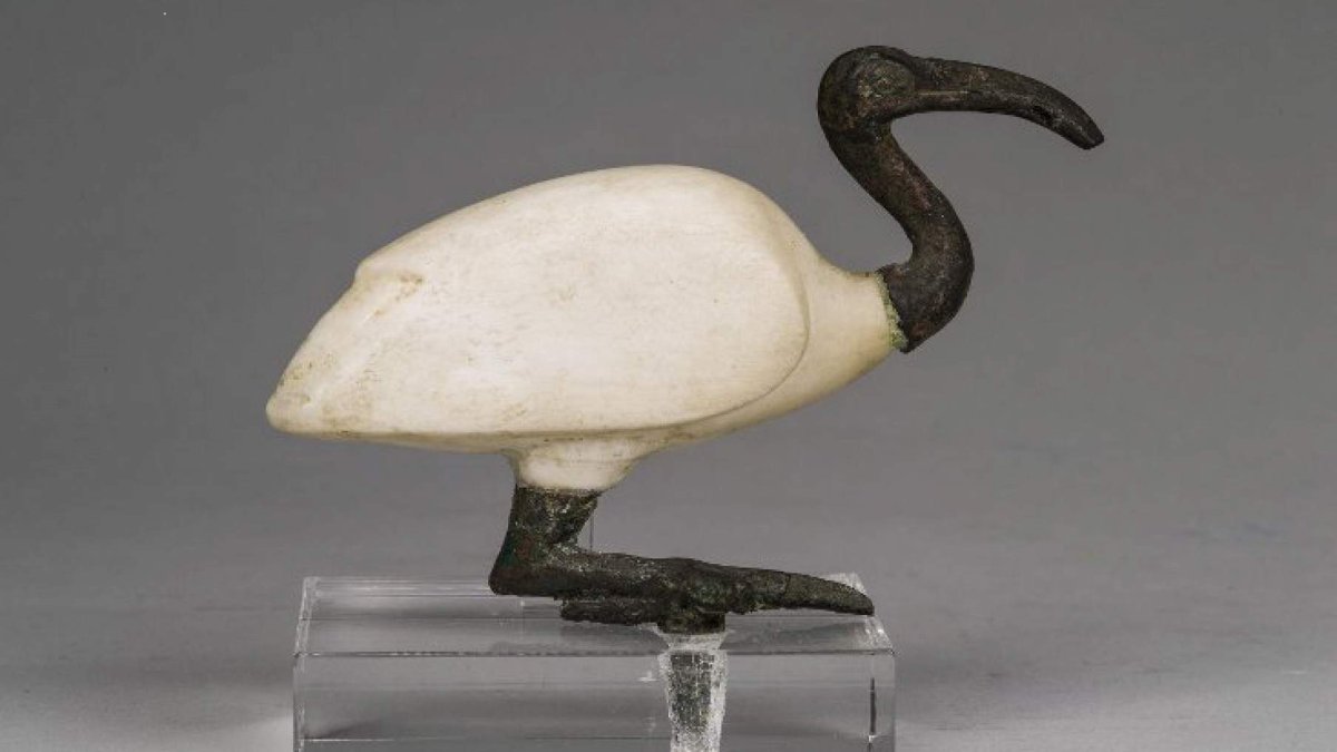 Птица ибис в древнем египте