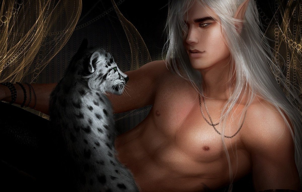 Темный Эльф блондин