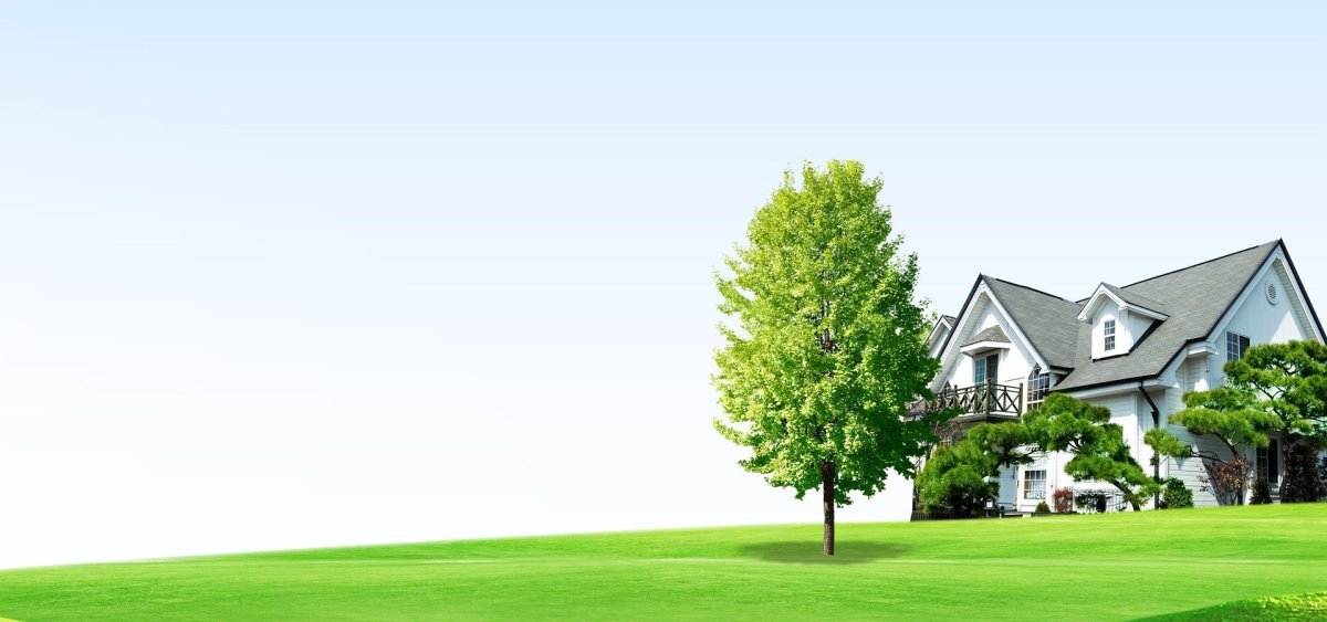 Проектирование и строительство