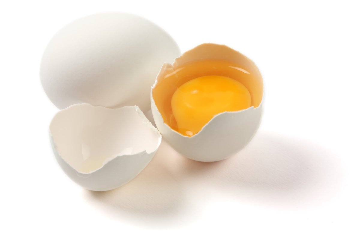 Яичные белки
