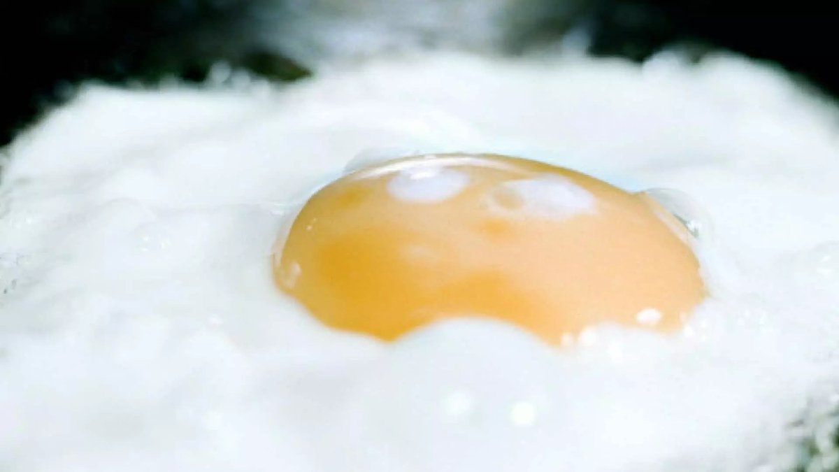 Альбумин порошок яичный