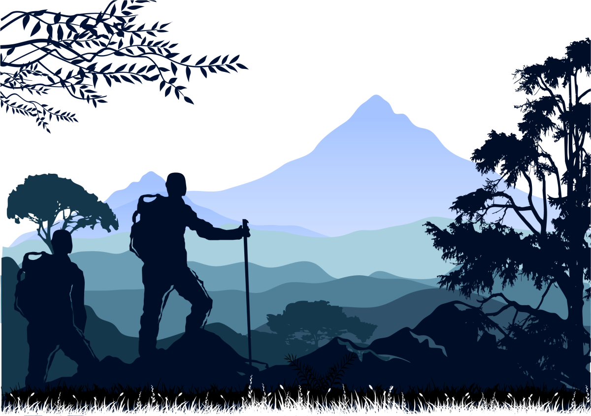 Туризм Графика