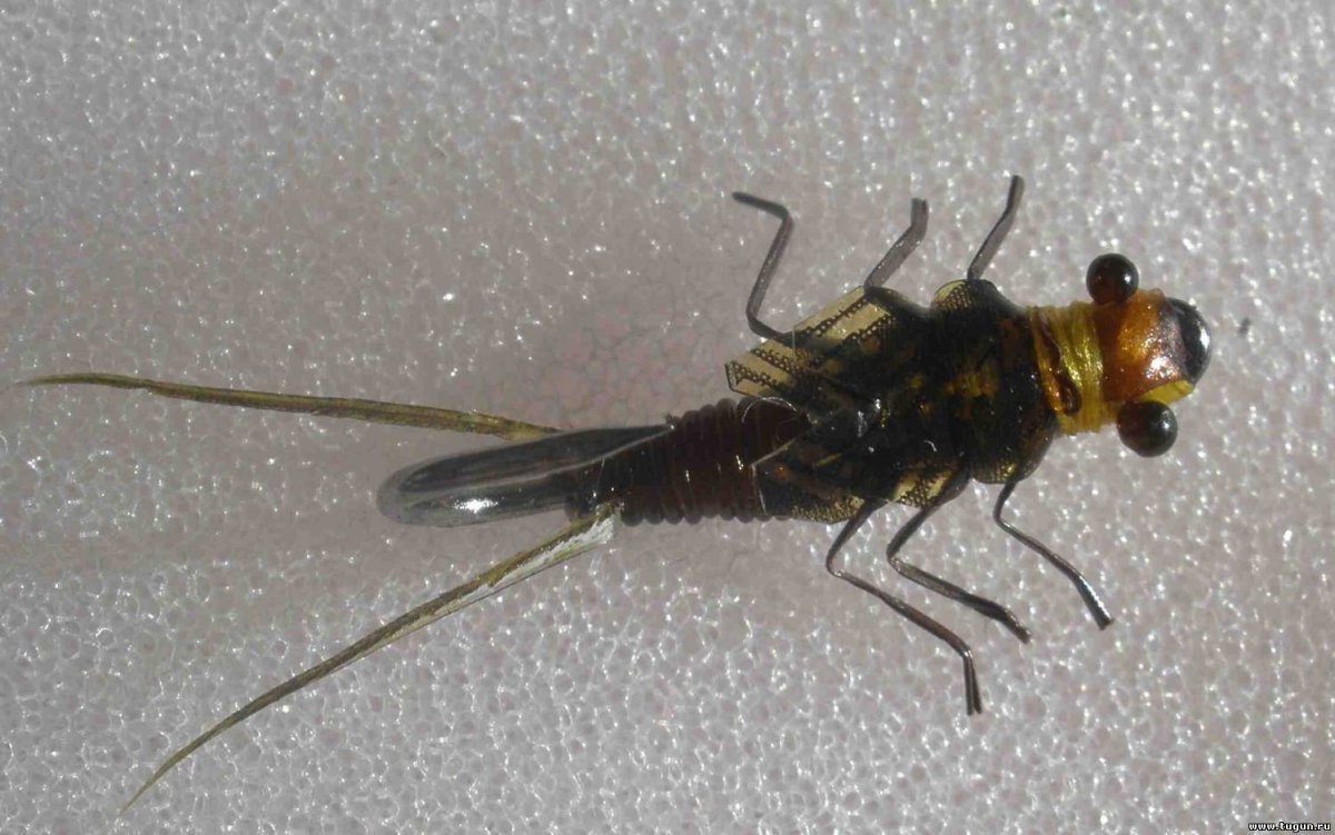 Переколомина на хариуса