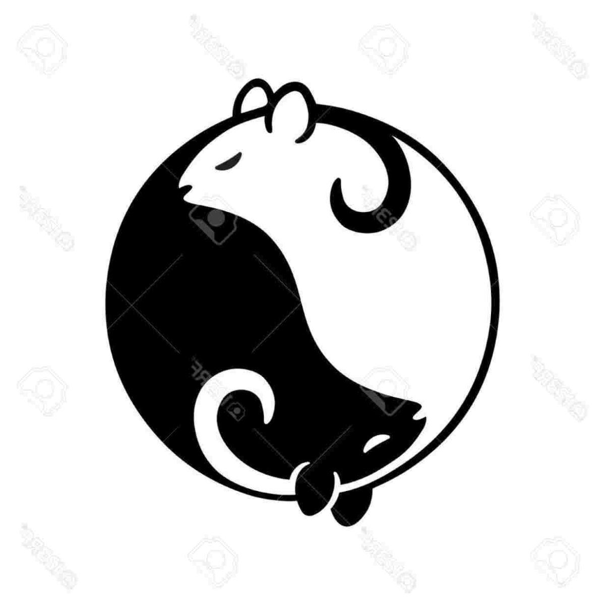 Стилизизация крыс в кругах