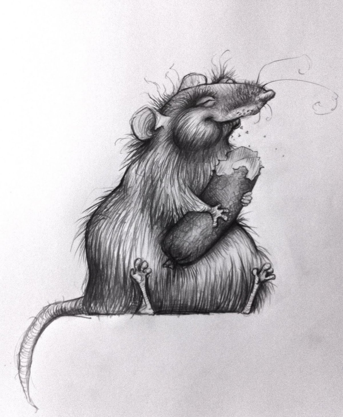 Рисунок крысы для срисовки