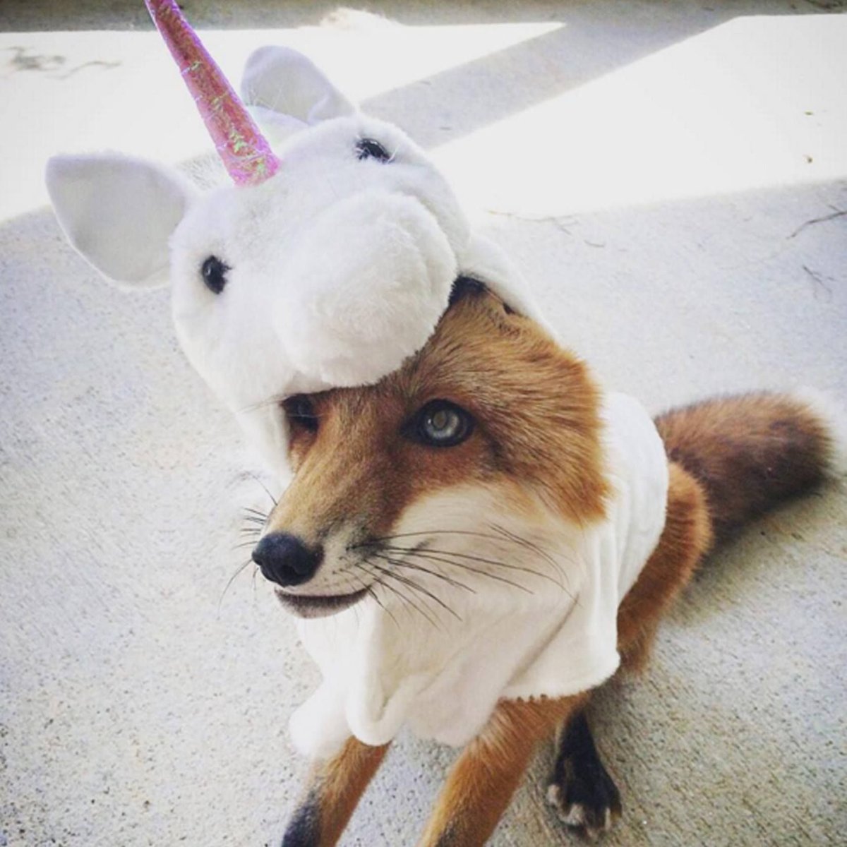 Костюм лиса