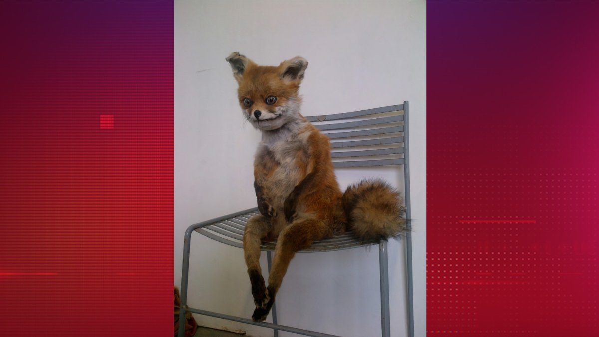 Упоротый Лис 2022