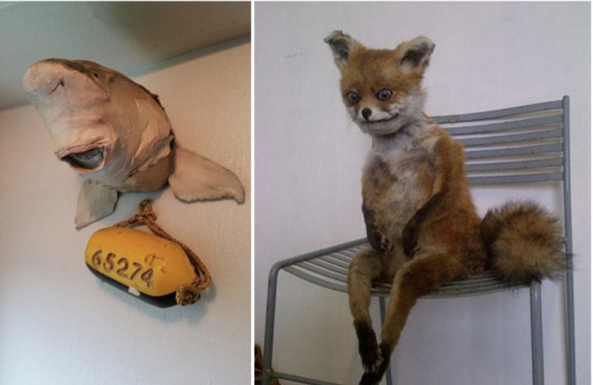 Чучело лисы на стуле