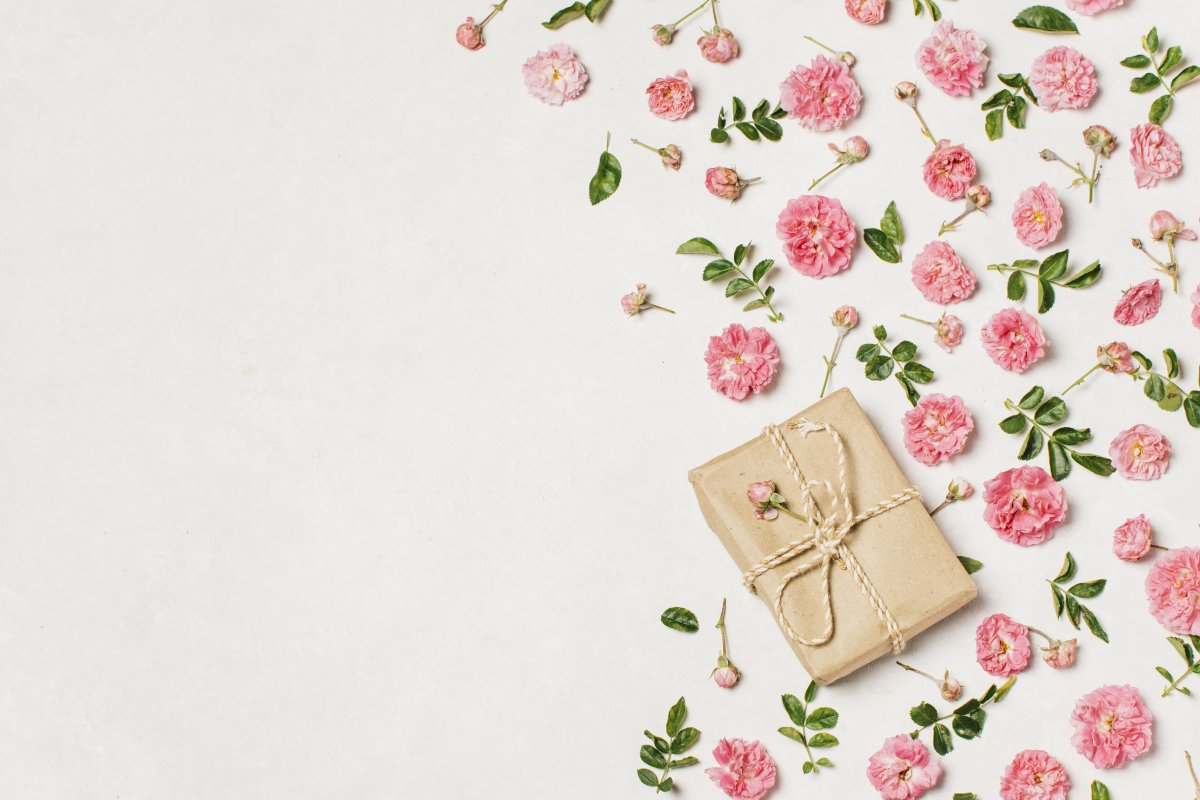 Герберы фотофон