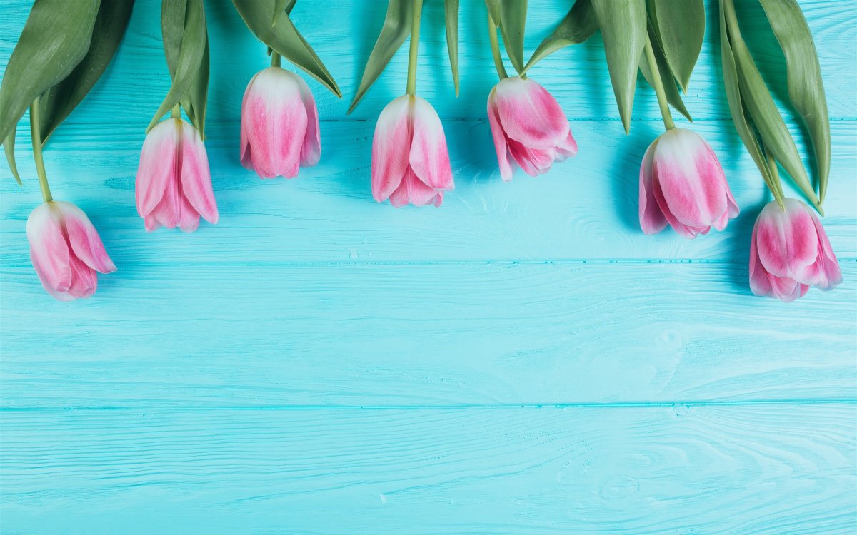 Нежные цветы в пастельных тонах