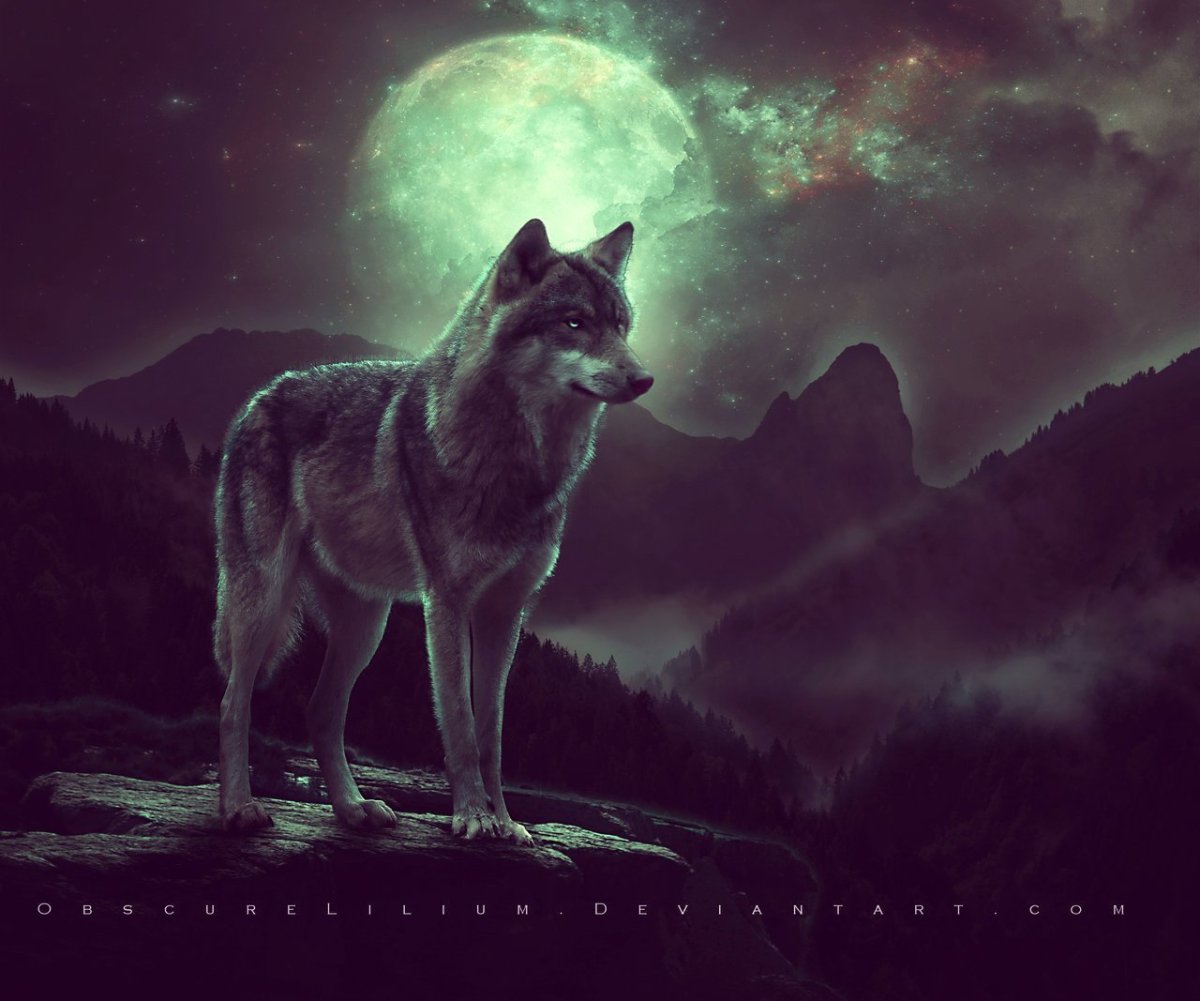 Одинокий солдат