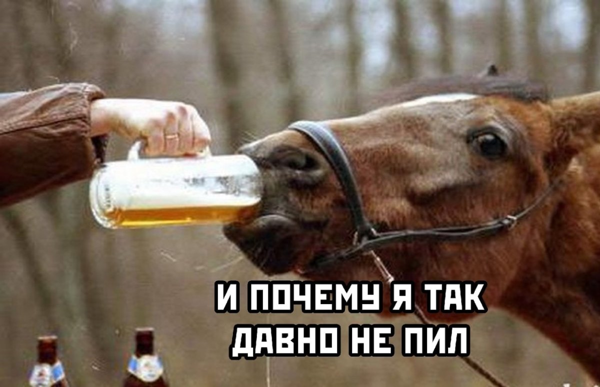 Цыганский конь