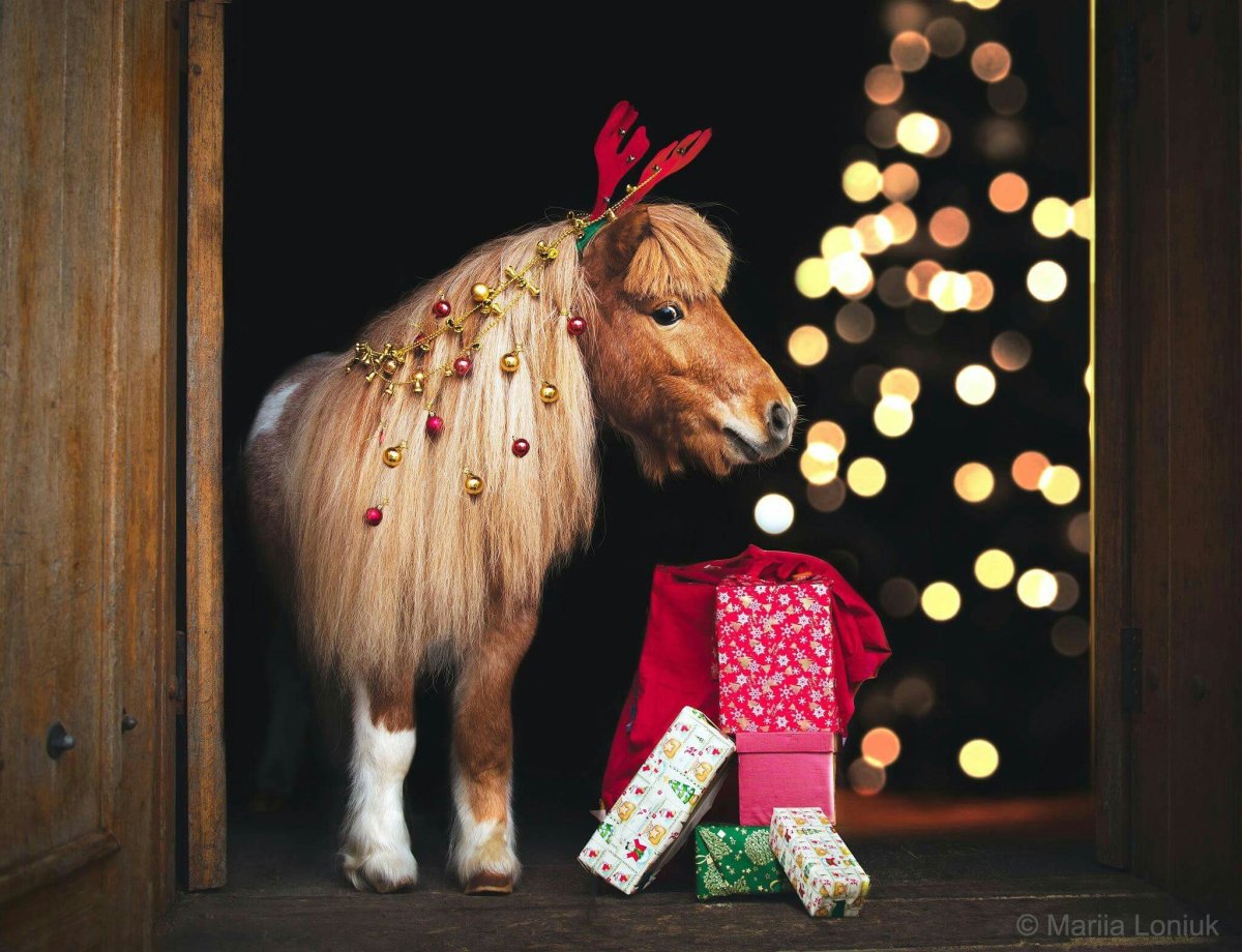 Новогодние лошадки