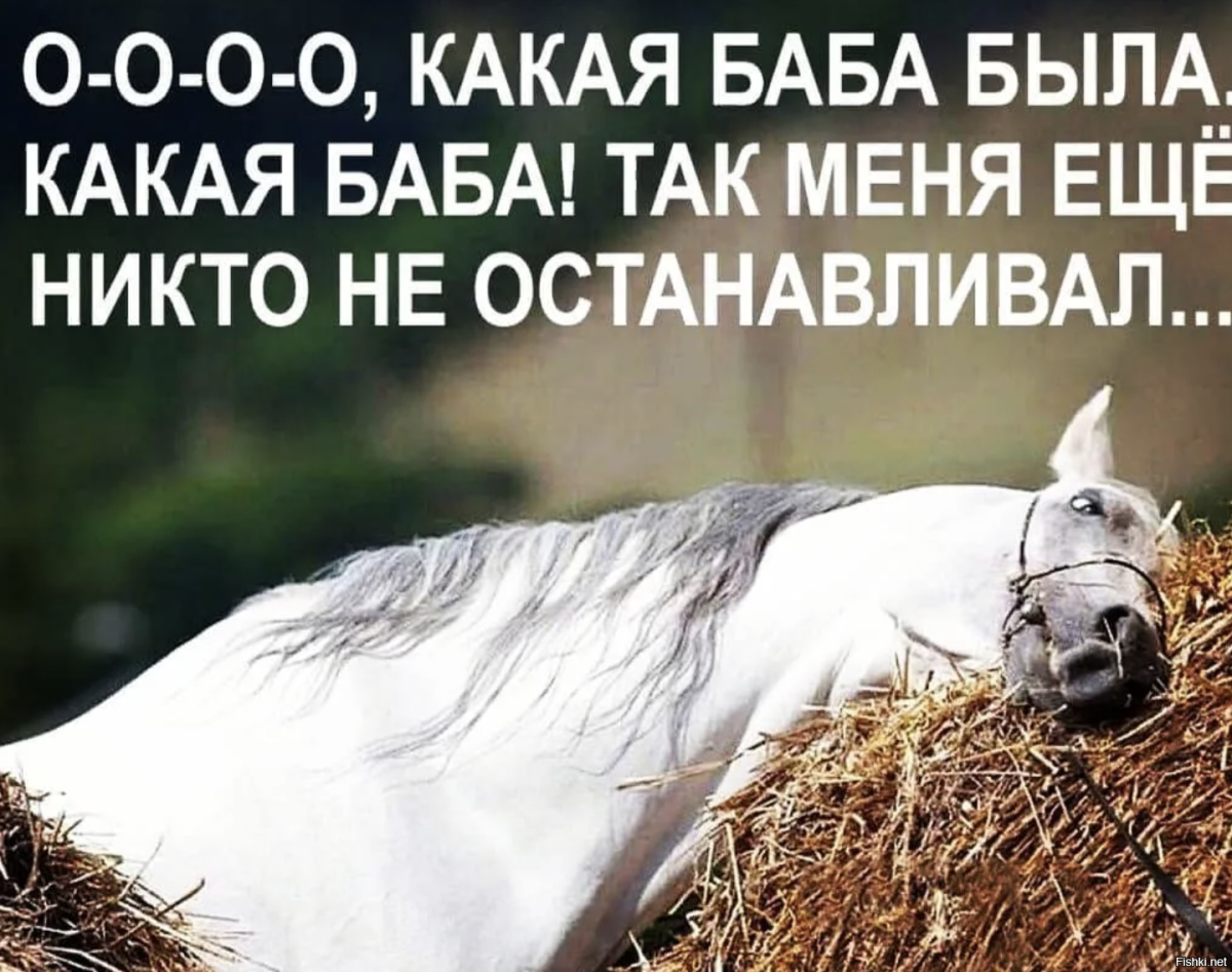 Лошадиные ягодицы