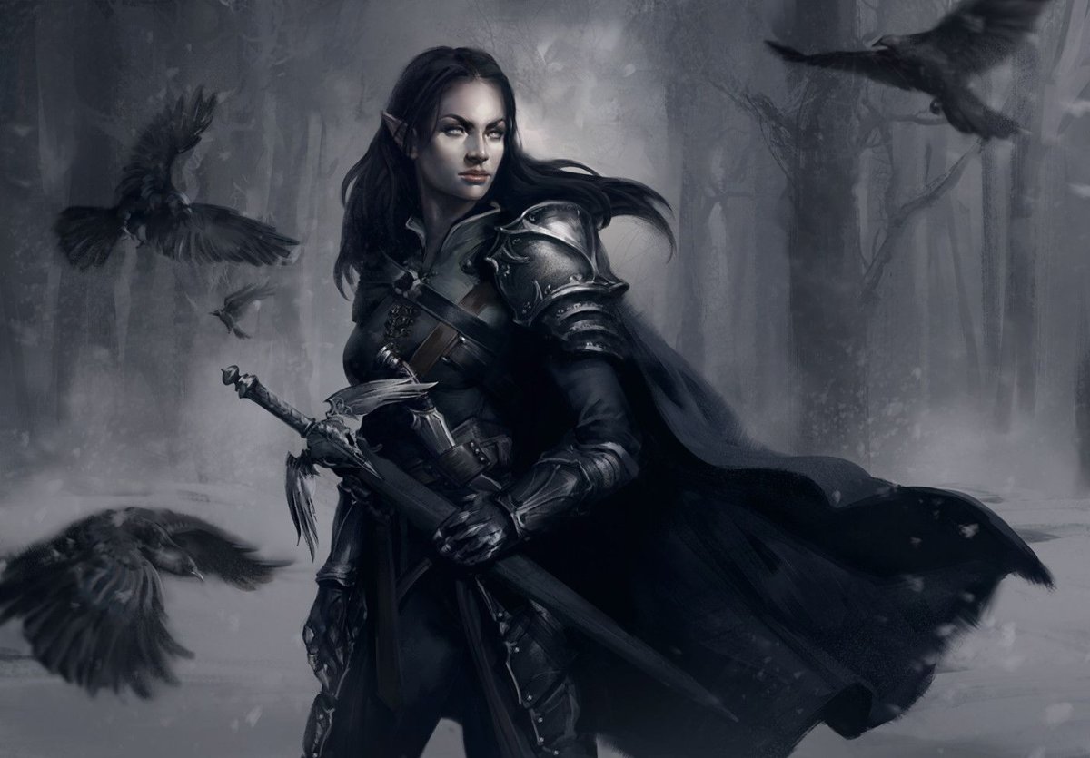 Девушки с мечами