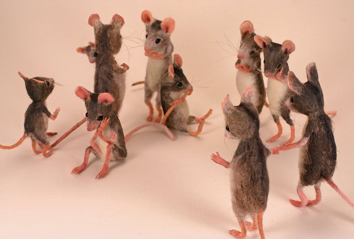 Мышиная возня