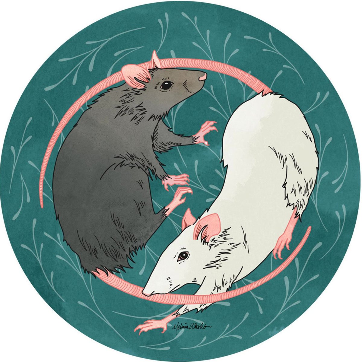 Две крысы арт