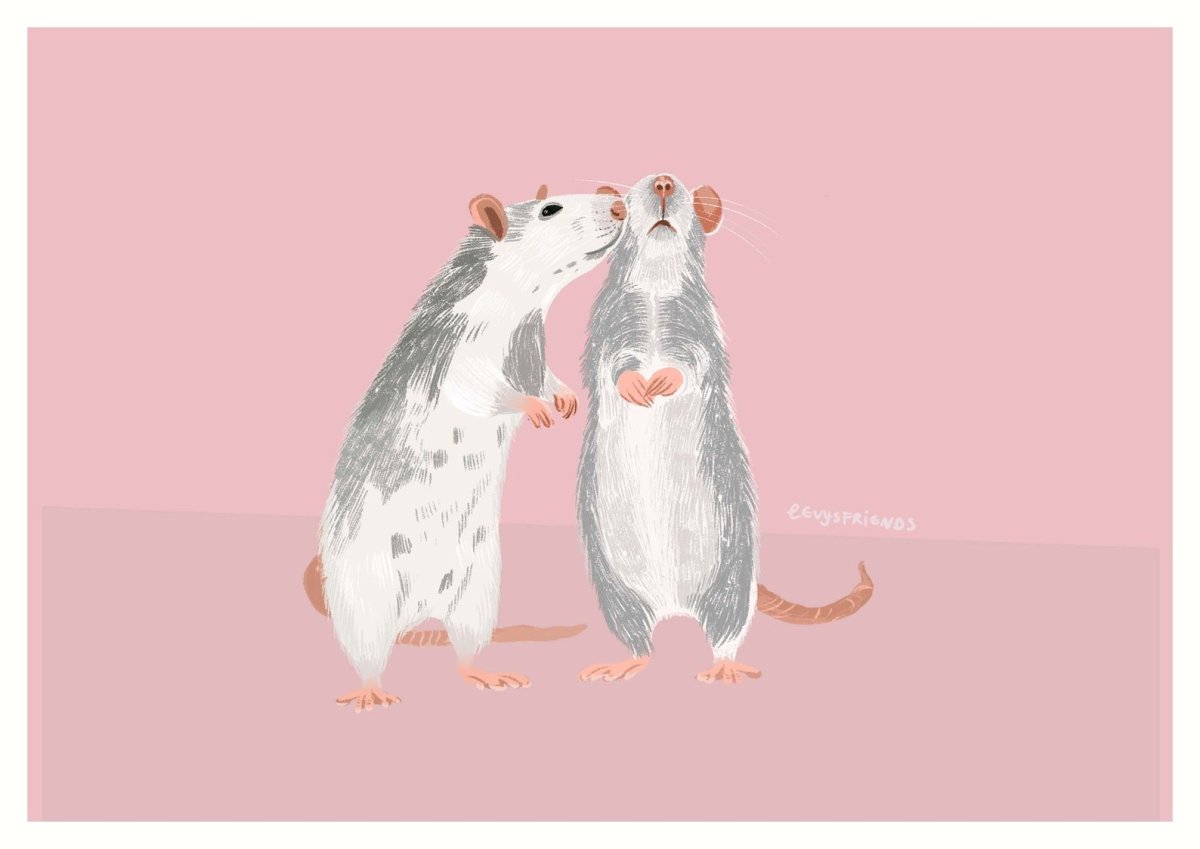 Крыса принт