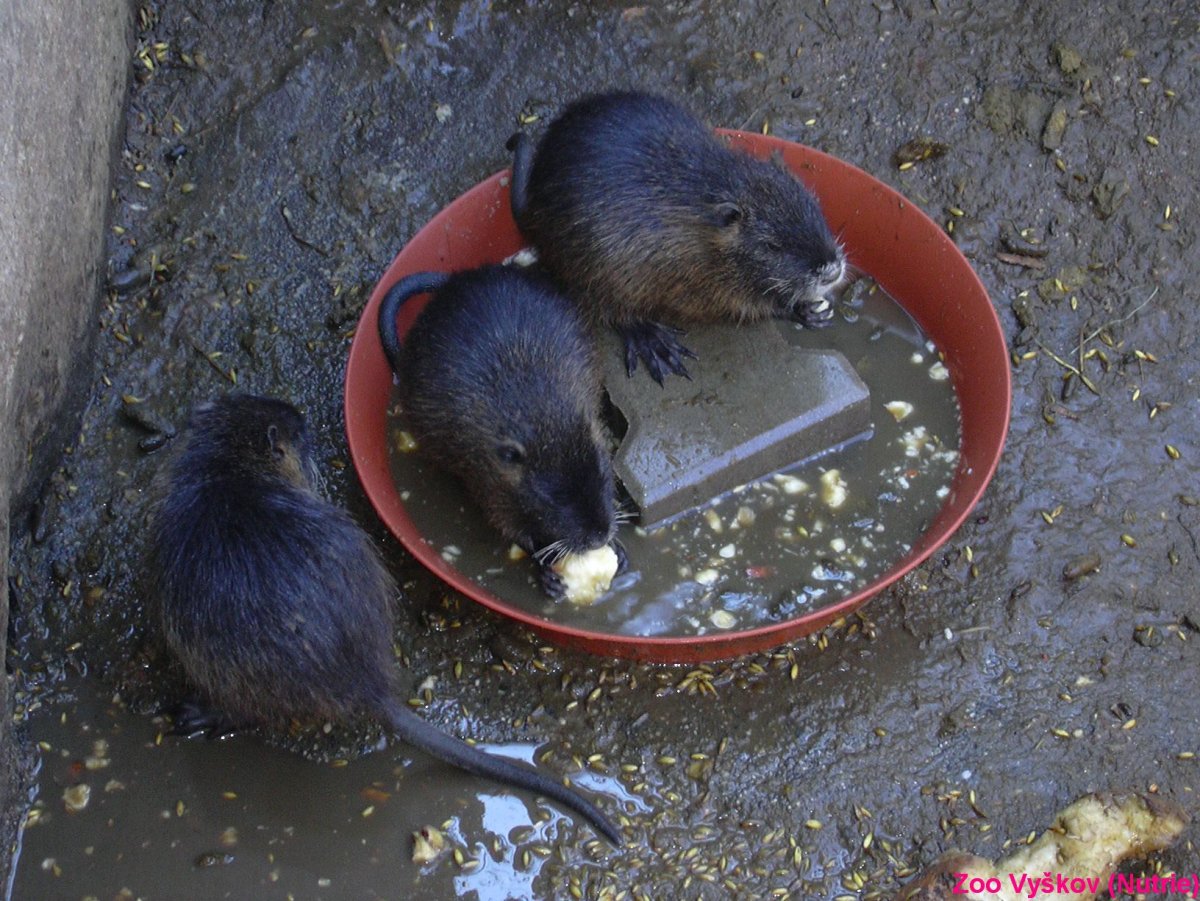 Речное Крым