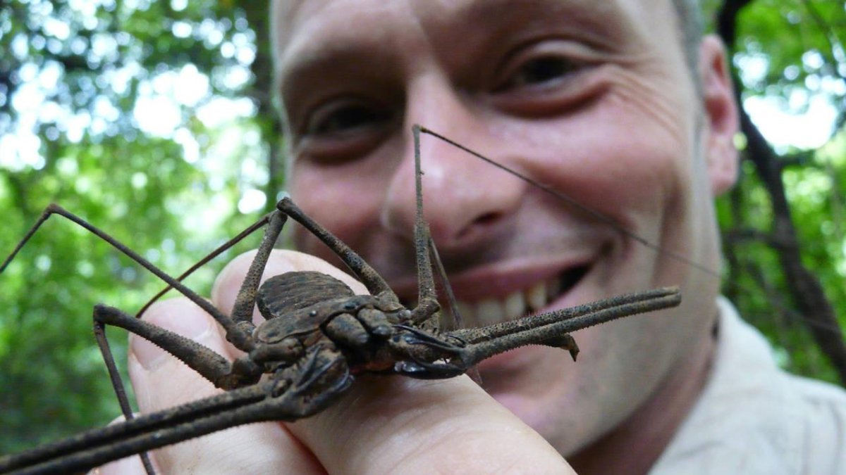 Жук Стригун усач кусается