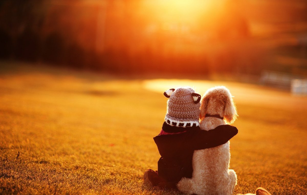 Обои на рабочий стол настроение