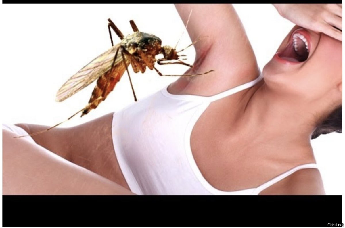 Различные насекомые