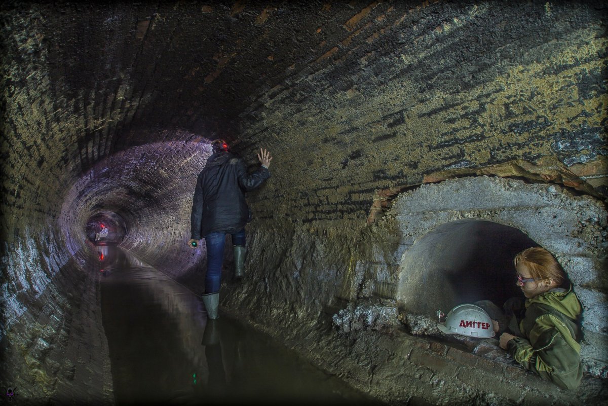 Крысы мутанты в тоннелях метро огромные