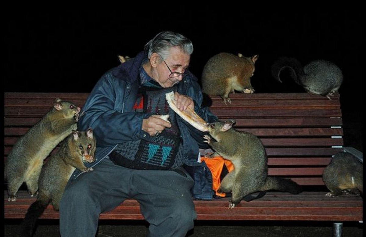 Гигантские крысы в Московском метро