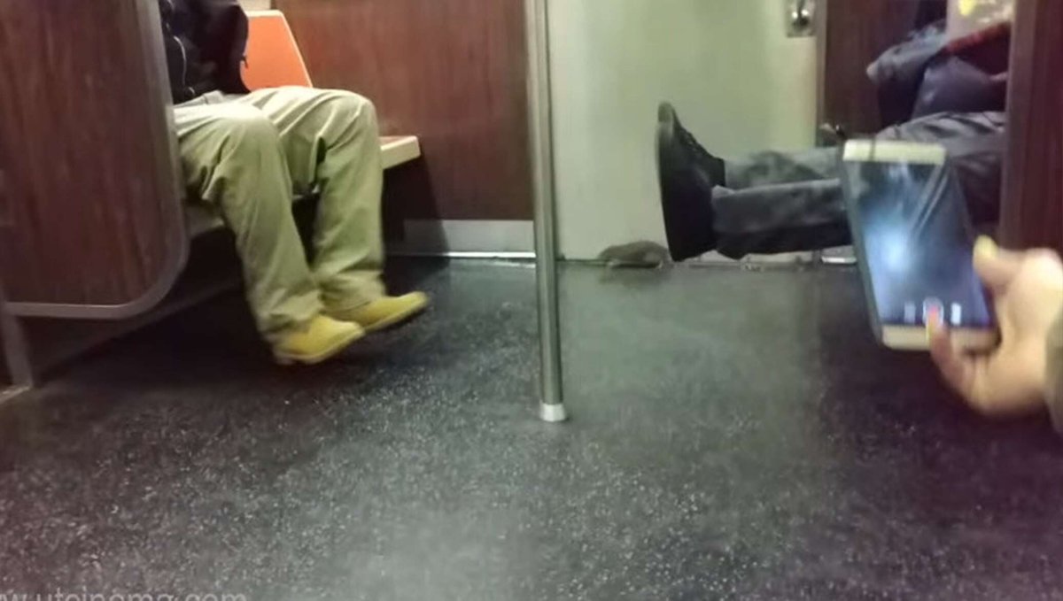 Арт по метро 2033