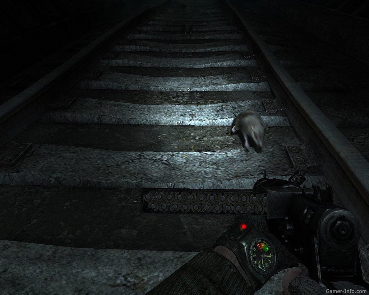 Гигантская крыса в Нью Йорке