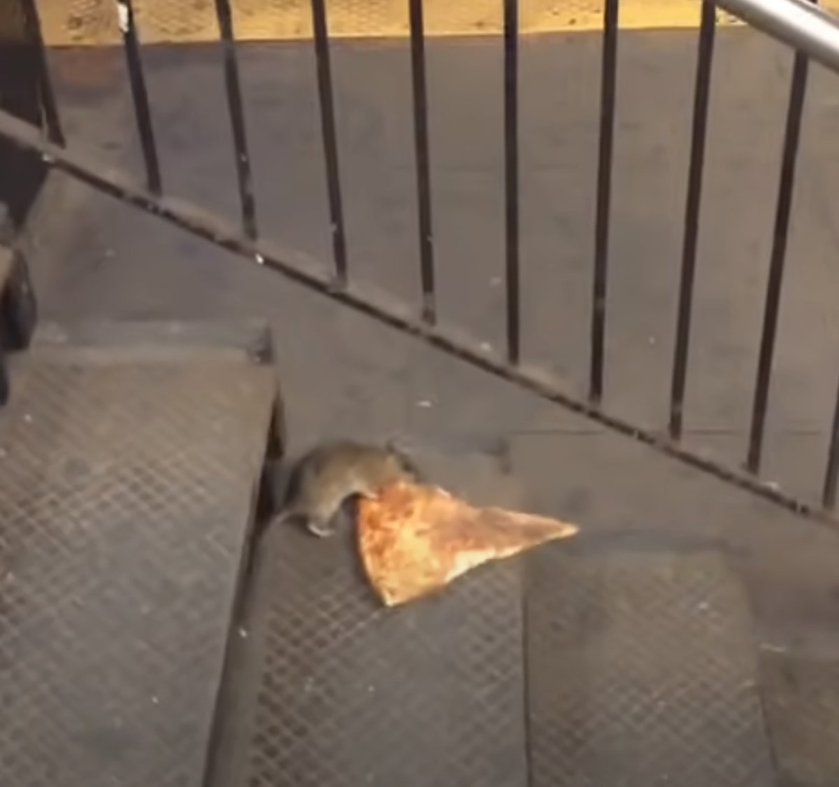 Metro 2033 тоннель