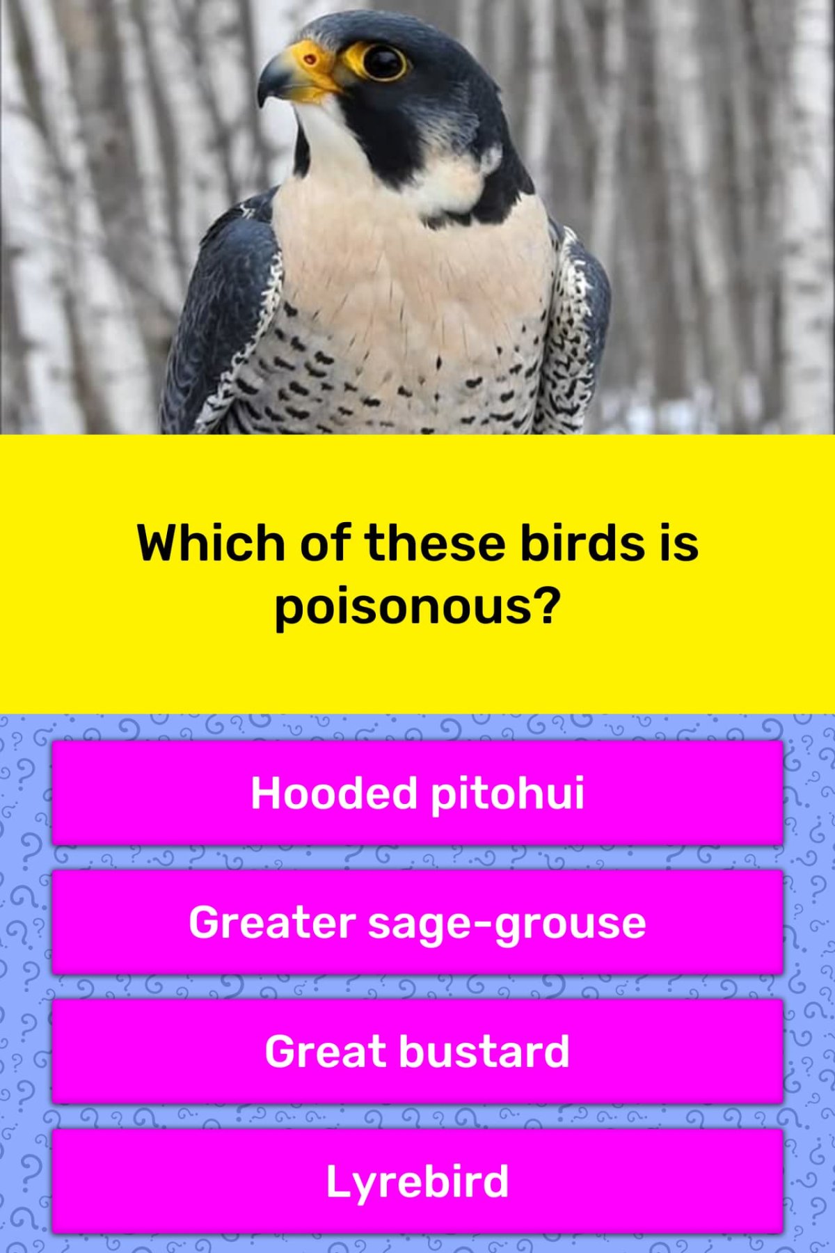 Отряд врановые