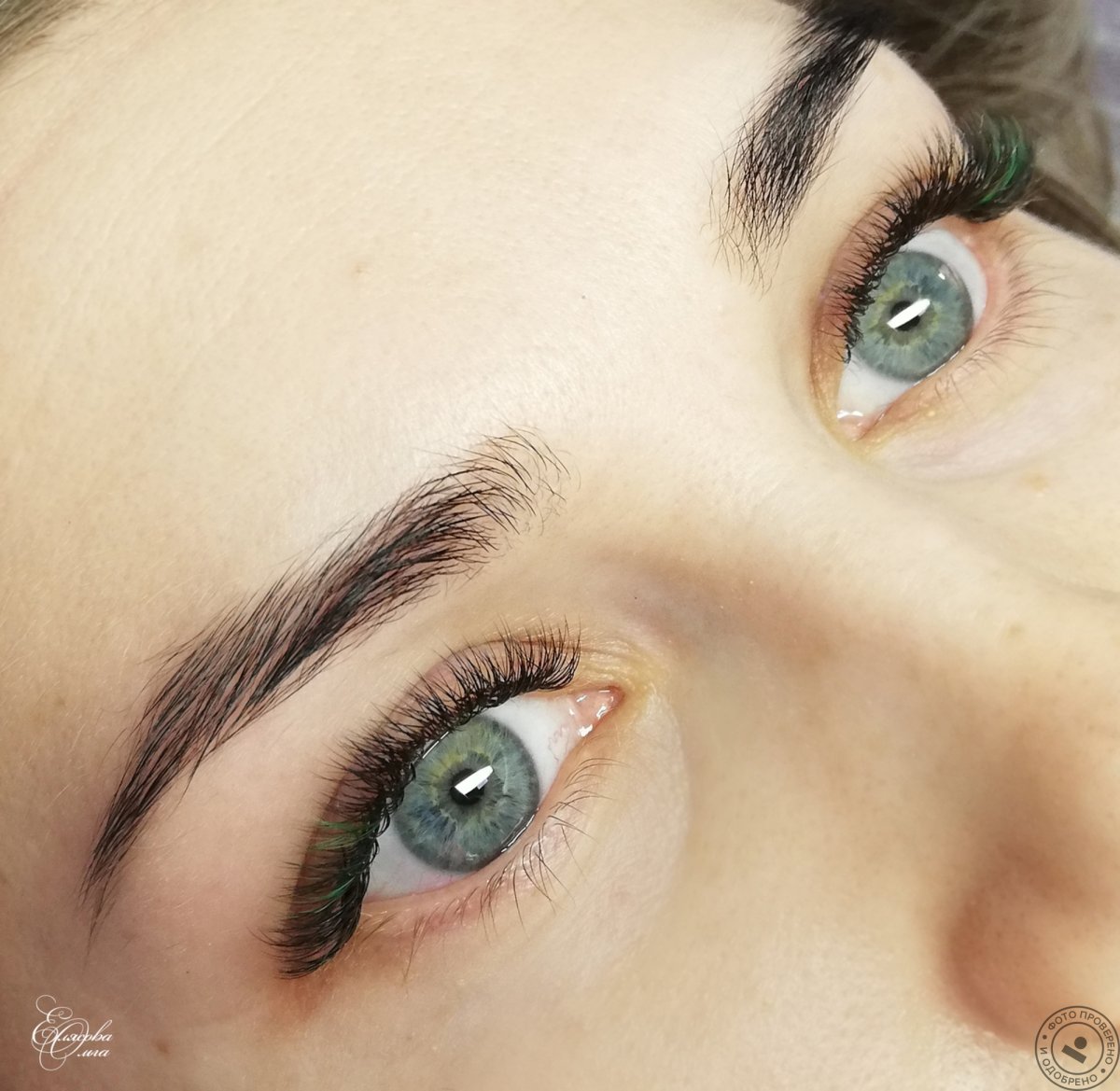 Ресницы белка