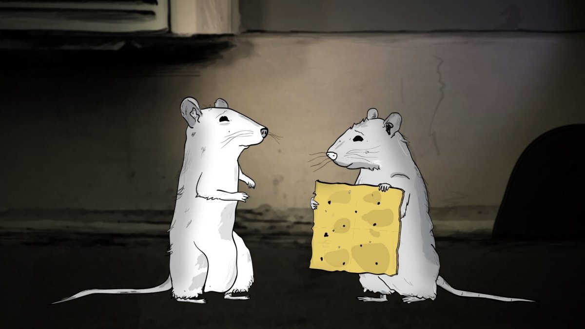 Парные обои с крысами